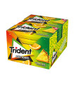 Trident Senses Tropical 12 ud