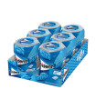 Trident Menta Bote 6 ud